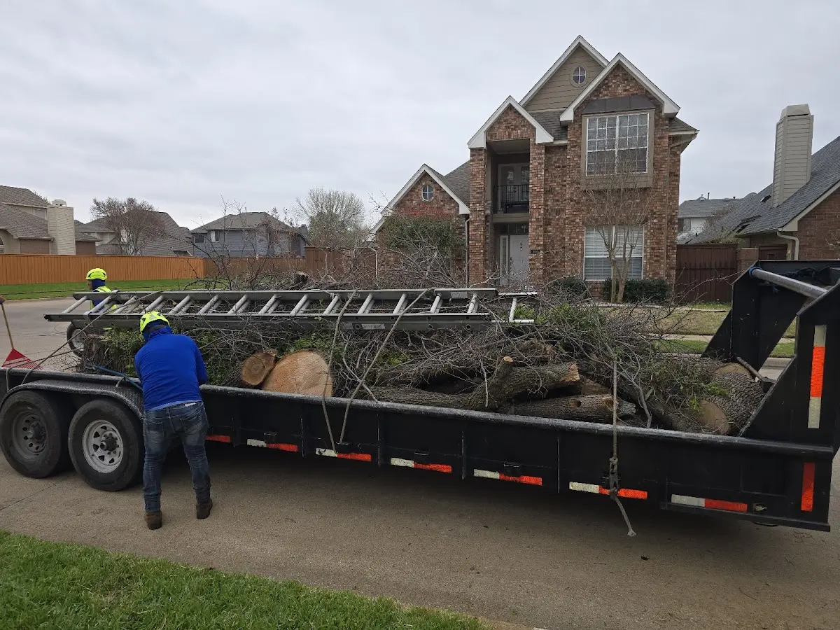 Expert Tree Removal with proper safety equipment in Mc Comb